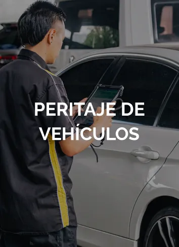 Peritaje de vehÃculos